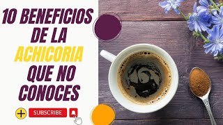 🌿10 BENEFICIOS Y PROPIEDADES DE LA ACHICORIA ¡QUE NO CONOCES PARA LA SALUD [upl. by Aicekan852]