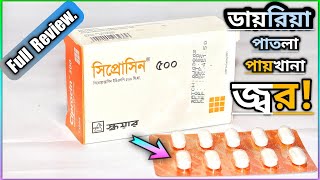 Ciprocin 500 mg  সিপ্রোসিন কখন খাবো কখন খাবো না  Square Pharmaceuticals Ltd [upl. by Abbe]