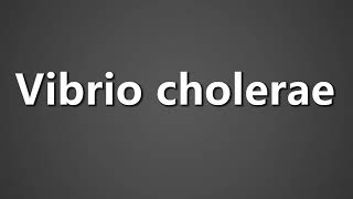 How To Pronounce Vibrio cholerae [upl. by Kcinom]