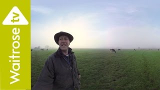 Dairy Cows  360° Video  Waitrose [upl. by Delija672]