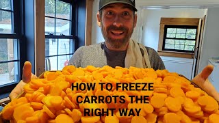 HOW TO FREEZE CARROTS THE RIGHT WAY FOR OFF GRID STORAGE offgridliving foodpreservation carrots [upl. by Ayinat]