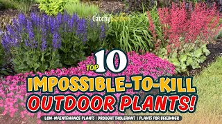 TOP 10 IMPOSSIBLETOKILL OUTDOOR PLANTS 🌻💥🌿  Gardening Ideas [upl. by Nettie116]