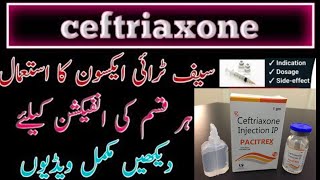 Ceftriaxone Injection Rocephin Injection Indication ll Treatment of RTI [upl. by Tiebout118]