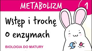 Metabolizm 1  Informacje ogólne i trochę o enzymach  biologia do matury liceum rozszerzona [upl. by Gradey]