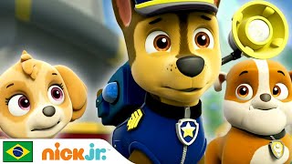 Paw Patrol  Patrulha Canina sempre ajudando 🐾  Nick Jr [upl. by Bravin]