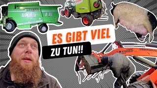 FarmVLOG918  Mitte Dezember kommt der Mähdrescher raus [upl. by Mooney]