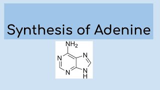 Synthesis of adenine [upl. by Ludmilla]