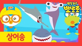 Shark Song l Shark Friends  How many sharks are there under the sea  Pororo the Little Penguin [upl. by Story460]