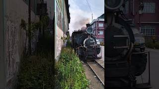 Darjeeling Toy Train ytshorts shorts viralvideo trending [upl. by Eamanna]