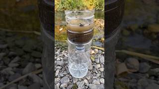 Survival skills amazing dirty water purification filter💦 camping survival bushcraft outdoors [upl. by Yemaj]