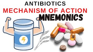 Antibiotics Mechanism Of Action Part 1  Everything You Need To Know  Dr Nabil Ebraheim [upl. by Laden]