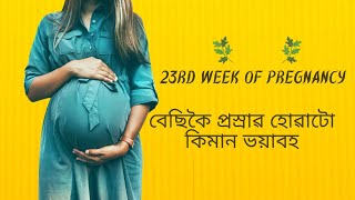 23 weeks of pregnancy in assamese assamese health healthyaxom pregnancyweekbyweek trending [upl. by Chally]