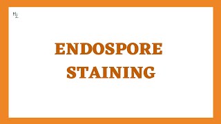 Endospore Staining with SchaefferFulton Method  Bacterial Spore Staining in Microbiology [upl. by Binnings277]