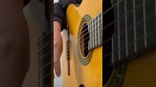 Rumba exercise guitar fingerstyleguitar flamencoguitarist shorts [upl. by Howarth]