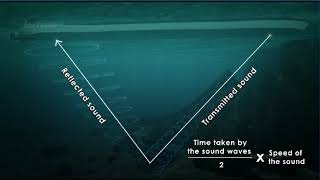 SONAR FULLY CONCEPT amp HOW IT WORK ANIMATED VIDEO [upl. by Zwiebel118]