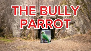 The Parrot Show Season 1 Episode 16 The Bully Parrot [upl. by Natrav]