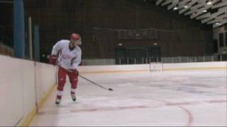 Pavel Datsyuk  Russian Magic HD [upl. by Nonnag867]