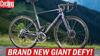 NEW 2024 Giant Defy  One Of The Last True Endurance Road Bikes [upl. by Nadler303]