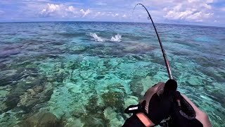 Fishing Small Lure In Tropical Paradise With Nonstop Action  Maldives Fishing [upl. by Adanama920]