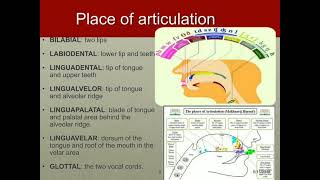 ARTICULATORY PHONETICS  TBI 3B [upl. by Michey]