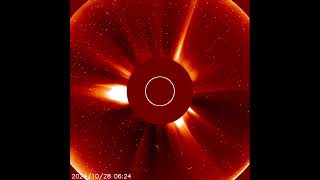 Comet ATLAS C2024 S1 is falling into the sun SOHO LASCO C2  281024 [upl. by Deirdra]