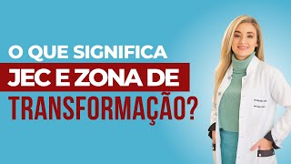 O que significa JEC e zona de transformação [upl. by Ymas]