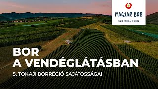 Bor a vendéglátásban  A Tokaji borrégió sajátosságai [upl. by Naujed192]