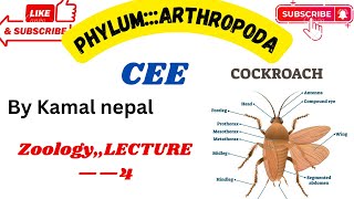 Phylum Arthropodalexture4Cee best lecture with notes and information [upl. by Nialb638]