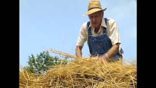 Harvest The Threshing Story [upl. by Paderna]