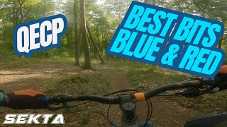 QECP MTB💥Laps with Ash Queen Elizabeth Country Park [upl. by Liban]