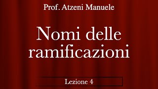 Nomenclatura alcani  nomi delle ramificazioni L4 ProfAtzeni ISCRIVITI [upl. by Smada]