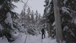 Kort vandring med snöskor i Glaskogen [upl. by Eniger]