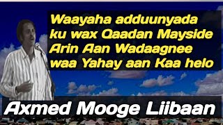 waayaha aduunyada axmed mooge  waayaha aduunyada hees  waayaha aduunyada ku wax qaadan mayside [upl. by Celestyn]