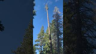 Tahoma lake tahoe ca [upl. by Flaherty]