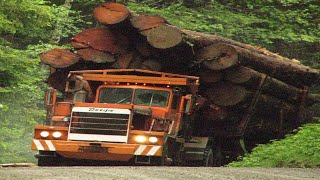 Extreme Dangerous Biggest Wood Logging Truck Operator Skill Amazing Heavy Equipment Truck Driving [upl. by Dugaid480]