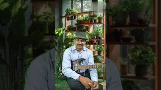 KITNE BHI TU KARLE SITAM ।। 1982 SANAM TERI KASHAM। R D BURMAN Guitar cover SANTOSH 🎧🎧 [upl. by Leitman499]