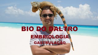 EMBRIOLOGIA  PARTE 03  GASTRULAÇÃO [upl. by Cordalia]