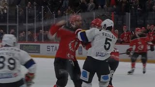 Hockeyfight in National League [upl. by Elvie]