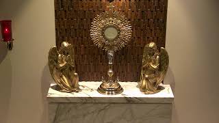 Adoration at Our Lady of Guadalupe Sacred Adoration Live Stream [upl. by Libys]