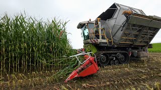 Neues TERRA TRAC Raupenlaufwerk am Bunkerhäcksler [upl. by Justicz]