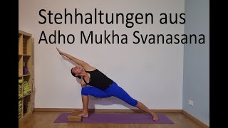 Stehhaltungen aus Adho Mukha Svanasana herabschauender Hund Iyengar Yoga Neuss [upl. by Leyla]