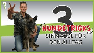 3 sinnvolle Hundetricks für den Alltag  Hundeerziehung [upl. by Ribble]