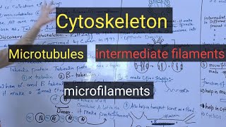 Cytoskeletonmicrotubulesmicrofilamentsintermediate filamentspashto detail lectures [upl. by Daly]