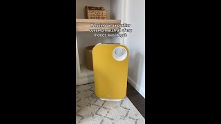 An Air Purifier to Match All Moods [upl. by Afatsuom]