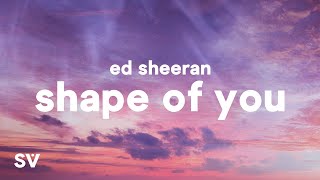 Ed Sheeran  Shape Of You Lyrics [upl. by Aehtorod]