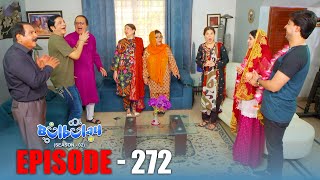 Bulbulay Season 2 Episode 272  Comedy  Ayesha Omar amp Nabeel  Momo  Mehmood Sahab [upl. by Cathey]