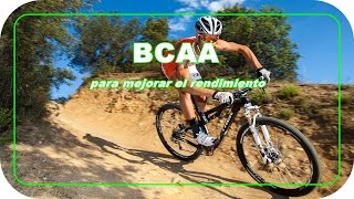 Los BCAA para mejorar en CICLISMO y ATLETISMO [upl. by Ina659]