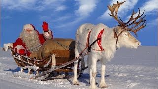 Santa Claus for kids 🦌🎅 Best reindeer rides of Father Christmas in Lapland Finland for children [upl. by Dixon]