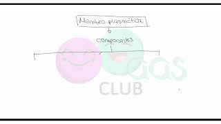 ➡ Estructura de la membrana plasmática Mosaico fluido Resumen [upl. by Brenk]