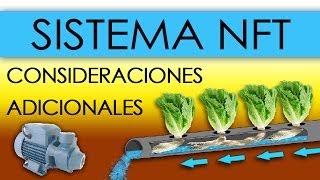 HIDROPONÍA  SISTEMA NFT EN LECHUGAS Nutrient Film Technique [upl. by Aihsatan63]